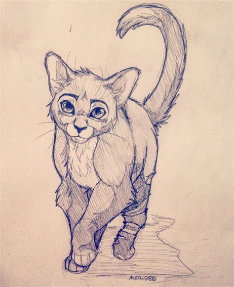 how to draw warrior cats|warrior cat drawings with pencil.